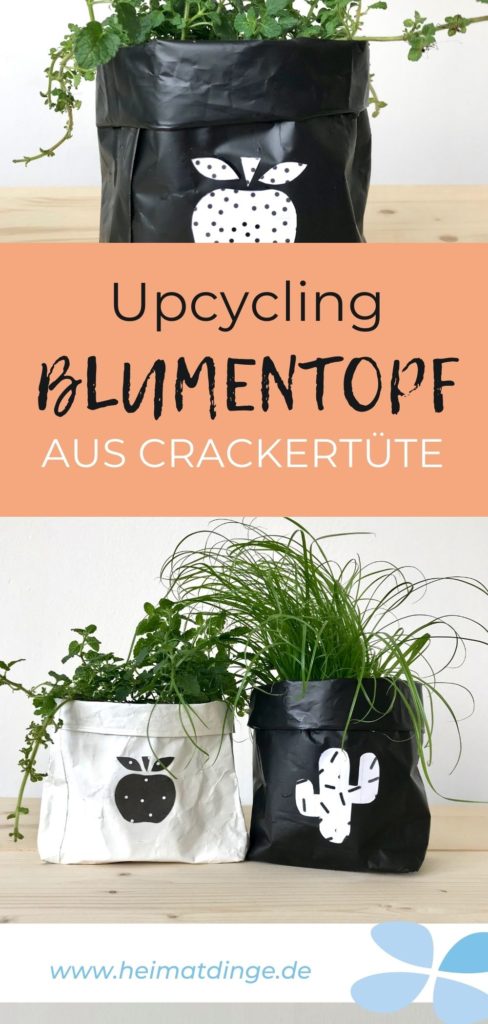 blumentopf-kaktus-apfel-muttertagsgeschenk-idee-upcycling