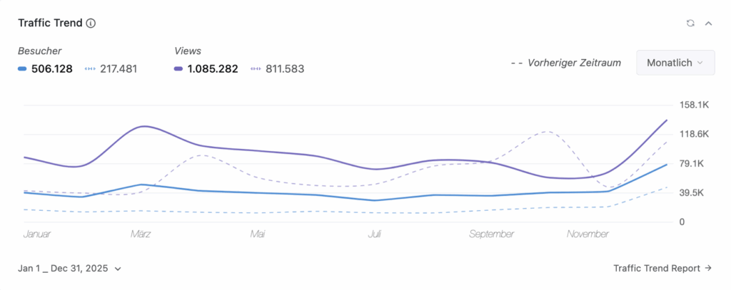 Website Besucher 2025