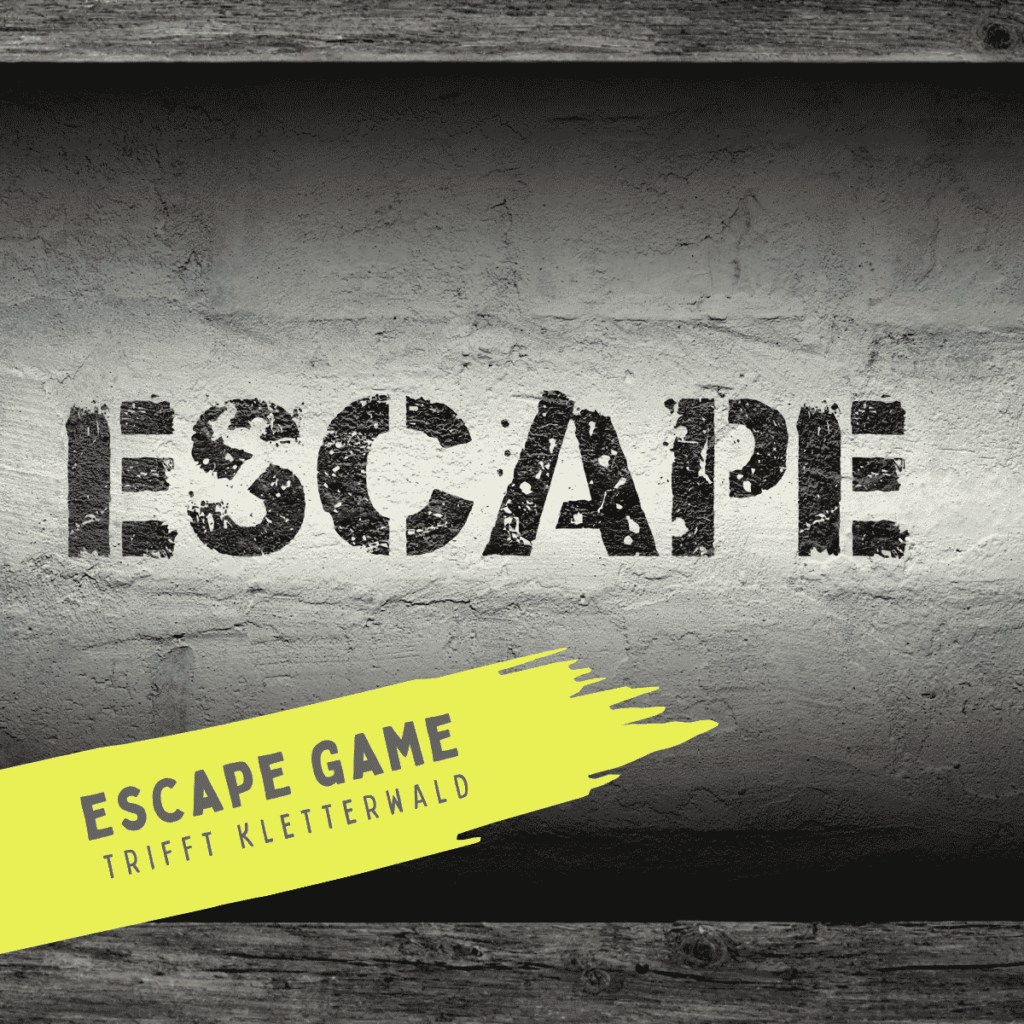 Outdoor Escape Game im Kletterwald 